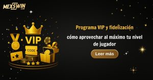 Programa VIP casino: guía completa de niveles y premios